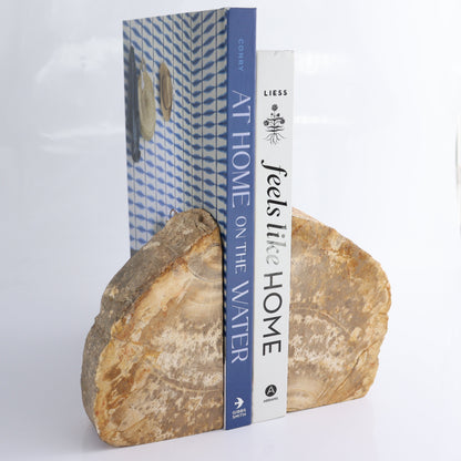 Bookends Petrified Wood - Expert Wholesale and Supplier of Wholesale Crystals & Bulk Gemstones, ["Bookends","Indonesia","Petrified Wood"]