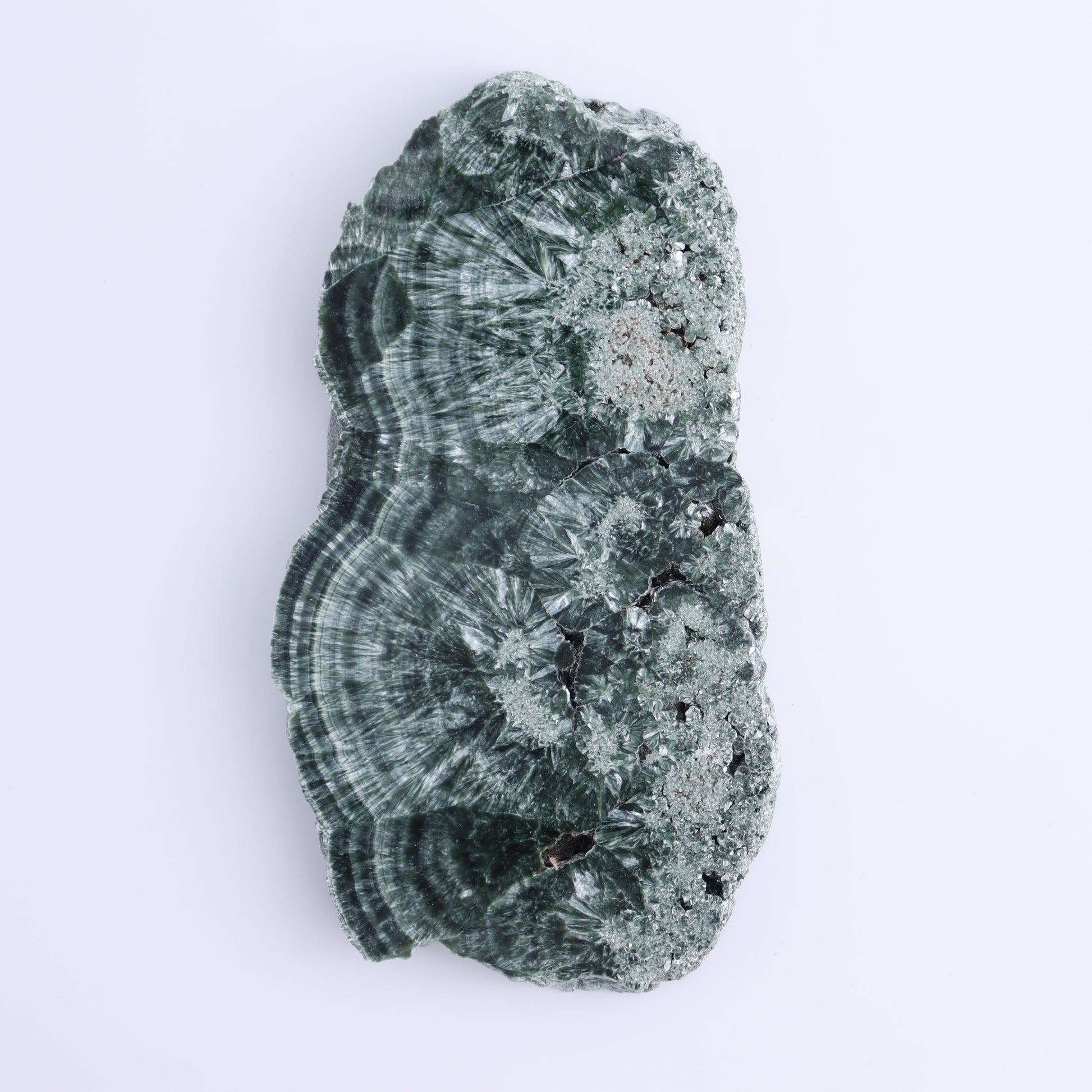 Seraphinite Slices Set of 3 - Expert Wholesale and Supplier of Wholesale Crystals & Bulk Gemstones, ["Russia","Seraphinite","Slices and Slabs"]