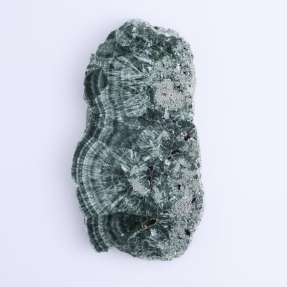 Seraphinite Slices Set of 3 - Expert Wholesale and Supplier of Wholesale Crystals & Bulk Gemstones, ["Russia","Seraphinite","Slices and Slabs"]