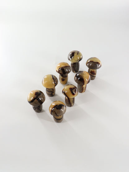 Septarian Mushrooms Set of 8 - Expert Wholesale and Supplier of Wholesale Crystals & Bulk Gemstones, []
