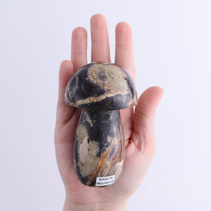 Petrified Wood Mushrooms Set of 4 - Expert Wholesale and Supplier of Wholesale Crystals & Bulk Gemstones, ["Indonesia","Mushrooms","Petrified Wood"]