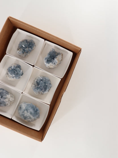 Celestite Clusters Set of 6 - Expert Wholesale and Supplier of Wholesale Crystals & Bulk Gemstones, []