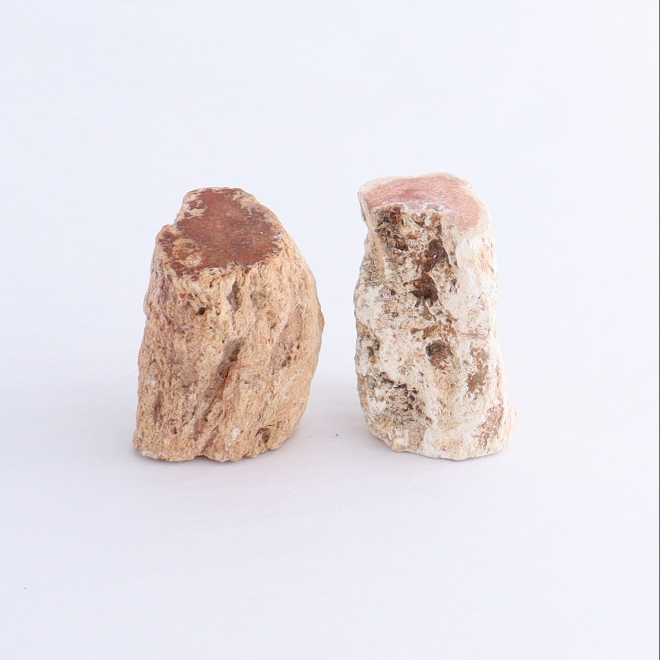 Petrified Wood Cut Bases Set of 10 - Expert Wholesale and Supplier of Wholesale Crystals & Bulk Gemstones, ["Cut Base","Petrified Wood"]