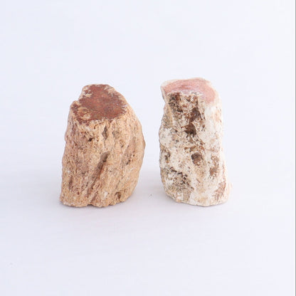 Petrified Wood Cut Bases Set of 10 - Expert Wholesale and Supplier of Wholesale Crystals & Bulk Gemstones, ["Cut Base","Petrified Wood"]