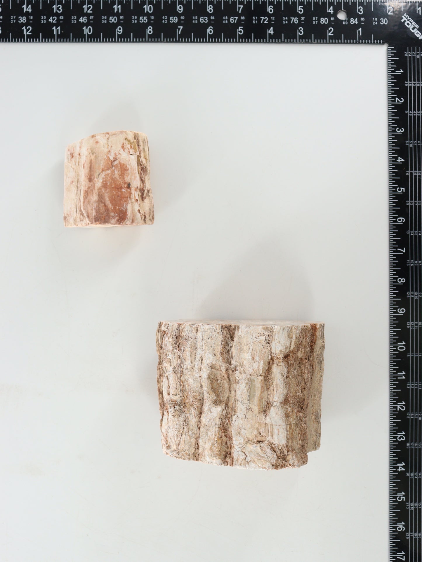 Petrified Wood Logs Set of 2