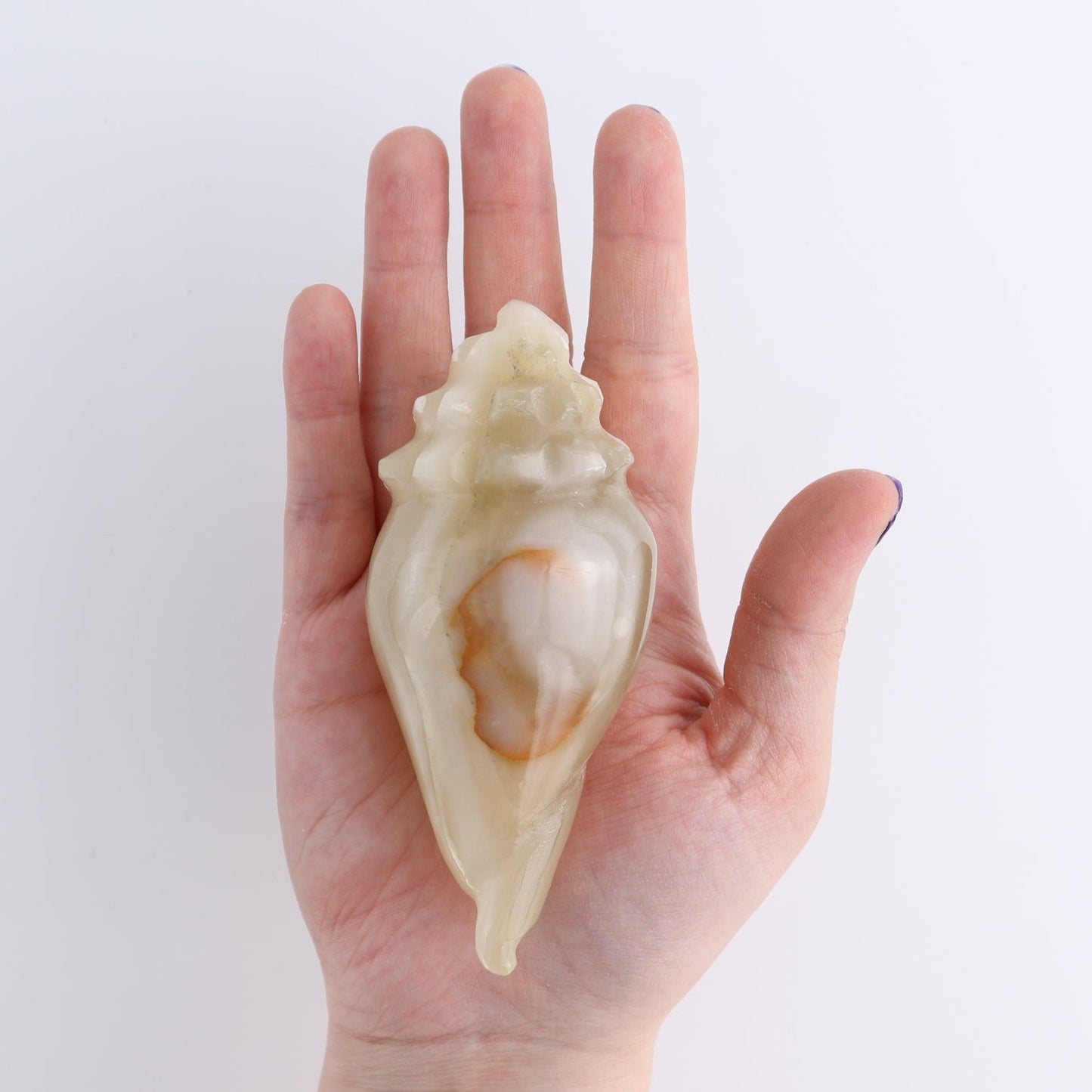 One Mexican Onyx/Calcite Shell Cut Base Green