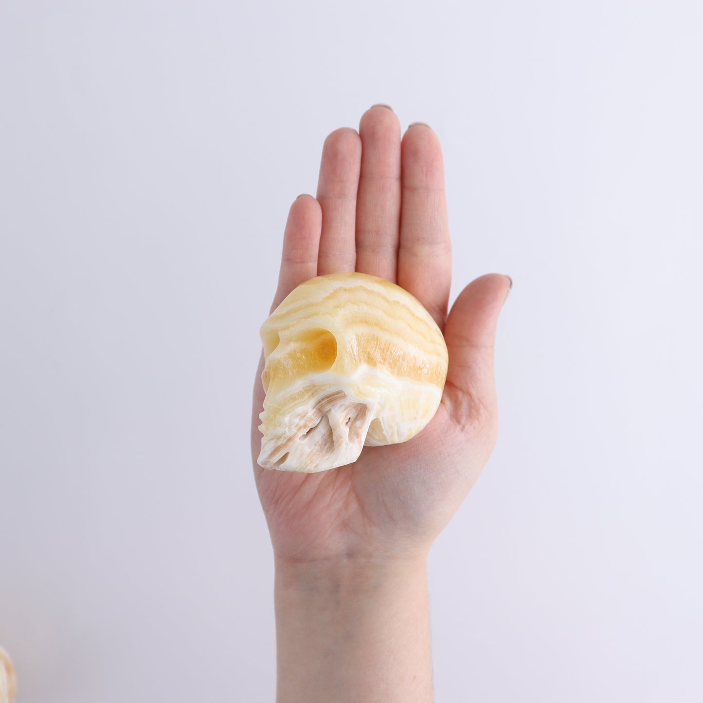 Onyx Skulls Set of 4 - Expert Wholesale and Supplier of Wholesale Crystals & Bulk Gemstones, ["Mexico","onyx","Skulls"]