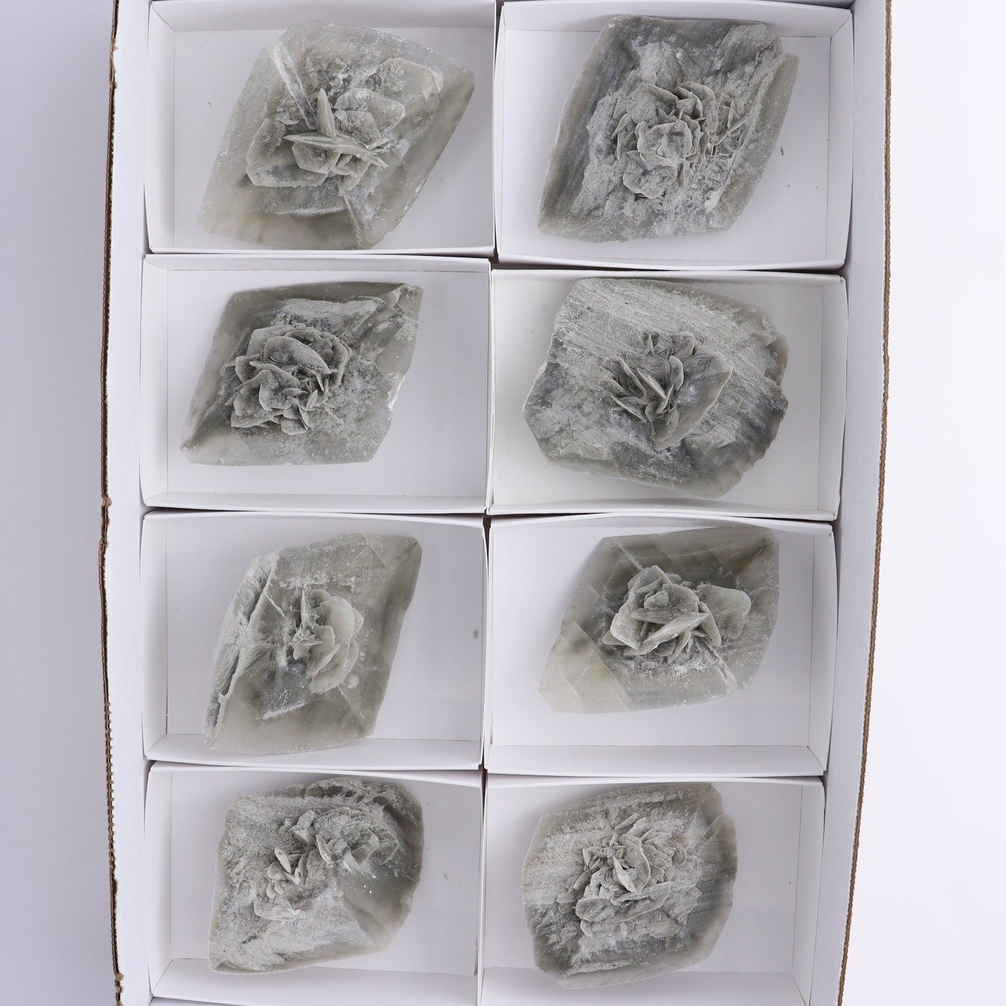 Selenite Clusters Set of 8 - Expert Wholesale and Supplier of Wholesale Crystals & Bulk Gemstones, ["Clusters","selenite"]