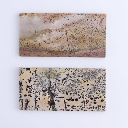 Picture Jasper Slabs of 6 - Expert Wholesale and Supplier of Wholesale Crystals & Bulk Gemstones, ["China","Picture Jasper","Slices and Slabs"]