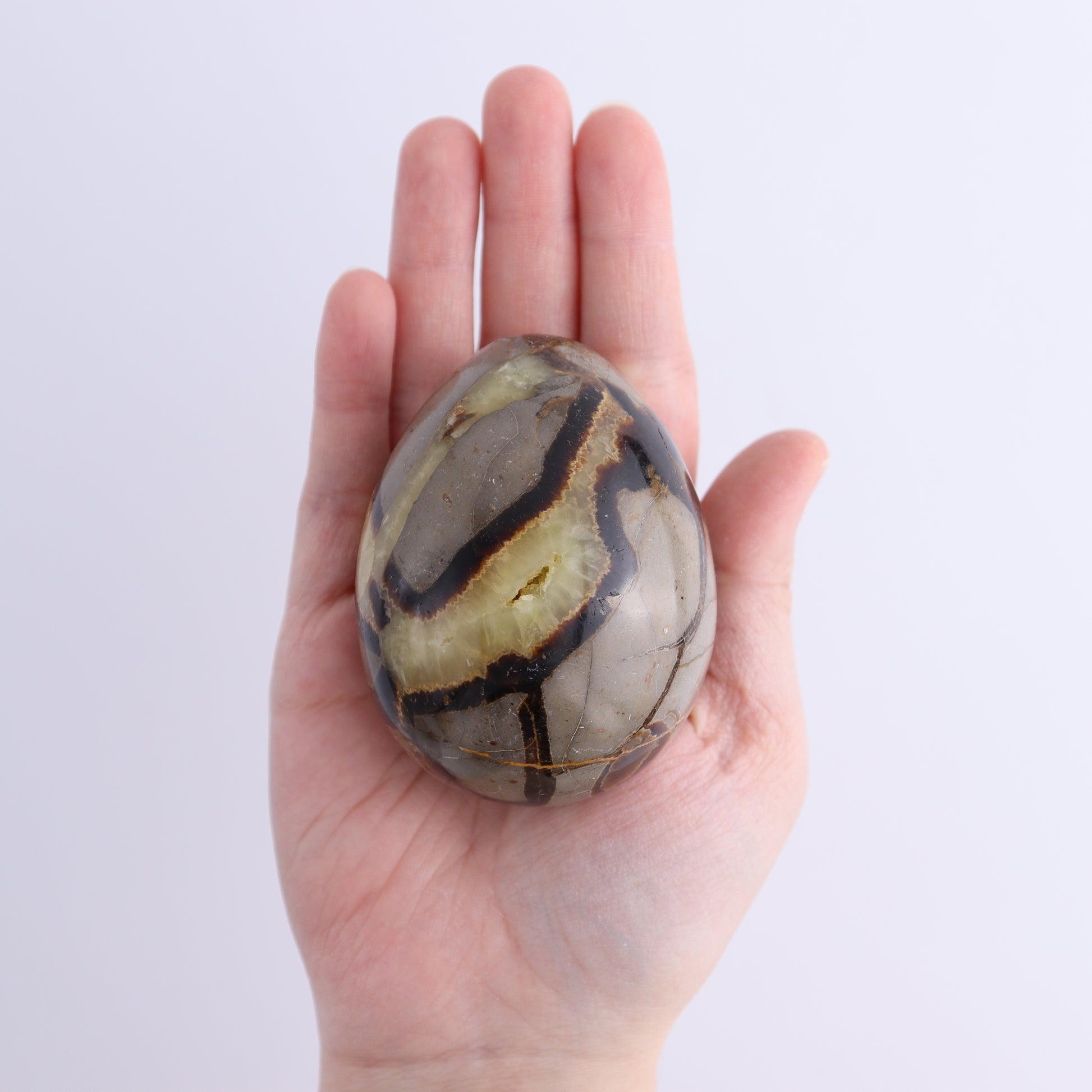 Septarian Eggs Set of 3 - Expert Wholesale and Supplier of Wholesale Crystals & Bulk Gemstones, ["Eggs","Madagascar","Septarian"]