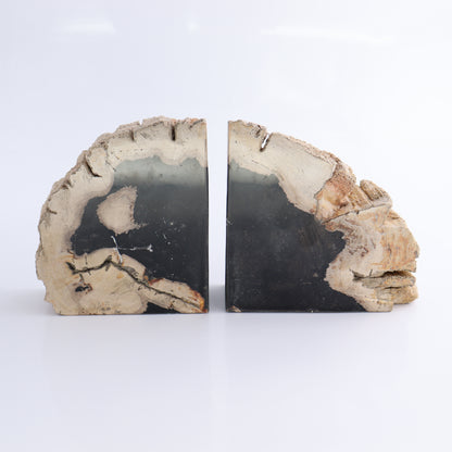 Bookends Petrified Wood - Expert Wholesale and Supplier of Wholesale Crystals & Bulk Gemstones, ["Bookends","Indonesia","Petrified Wood"]