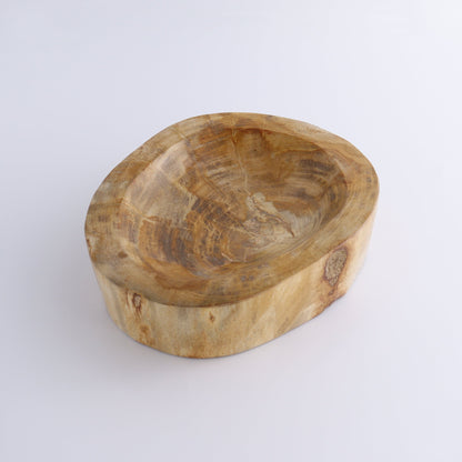 Petrified Wood Bowl - Expert Wholesale and Supplier of Wholesale Crystals & Bulk Gemstones, ["Bowls","Indonesia","Petrified Wood"]