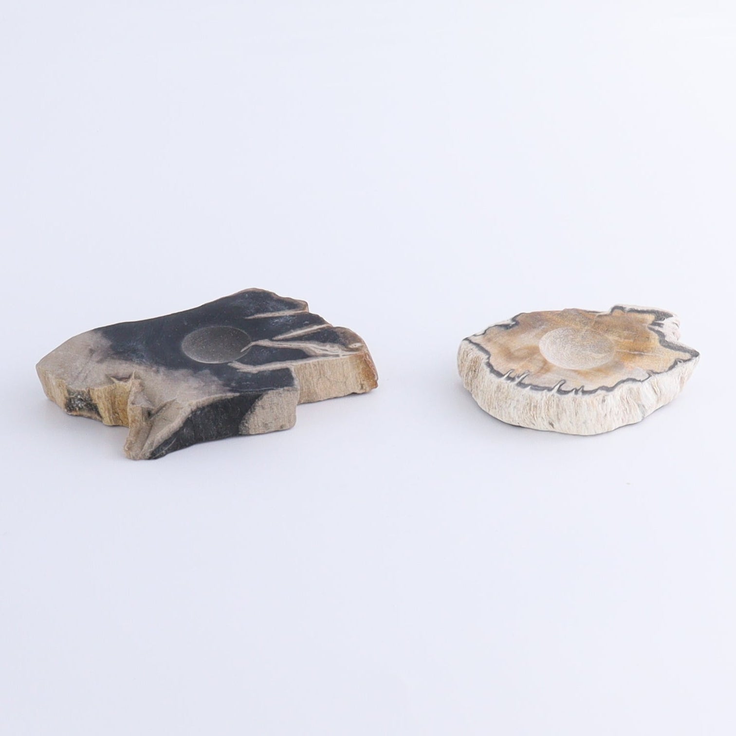 Petrified Wood Sphere Holders Set of 5 - Expert Wholesale and Supplier of Wholesale Crystals & Bulk Gemstones, ["Petrified Wood","sphere holder"]