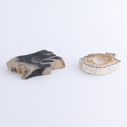 Petrified Wood Sphere Holders Set of 5 - Expert Wholesale and Supplier of Wholesale Crystals & Bulk Gemstones, ["Petrified Wood","sphere holder"]