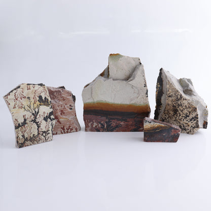 Dendrites Flat Set of 5 - Expert Wholesale and Supplier of Wholesale Crystals & Bulk Gemstones, ["Dendrite","Flats"]