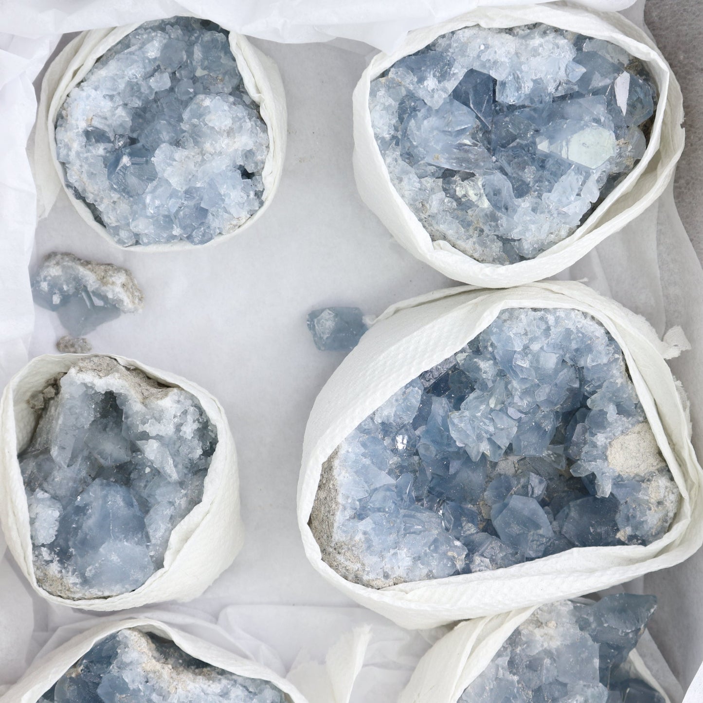 Celestite Clusters Set of 6