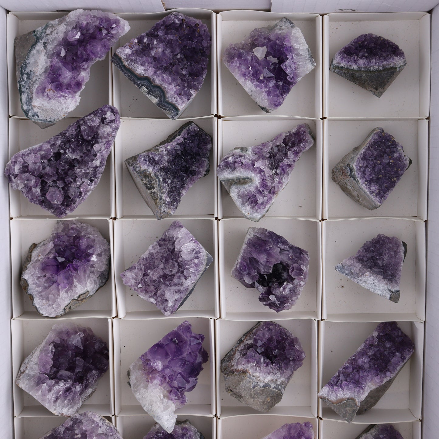 Amethyst Cut Base Set of 24 - Expert Wholesale and Supplier of Wholesale Crystals & Bulk Gemstones, ["Amethyst","Cut Base"]