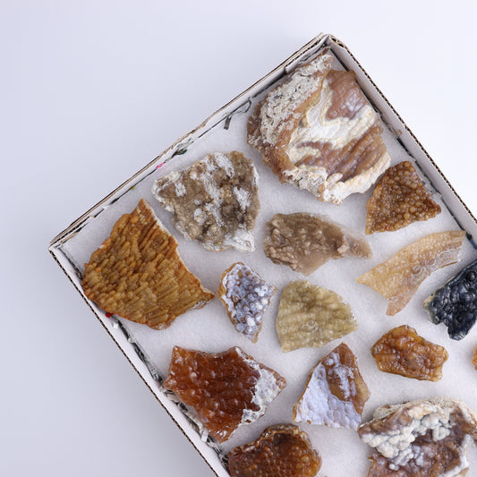 Agatized Coral Flat - Expert Wholesale and Supplier of Wholesale Crystals & Bulk Gemstones, ["Agate","Agatized Coral","Coral","United States"]