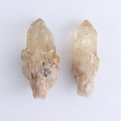 Congo Citrine Set of 12