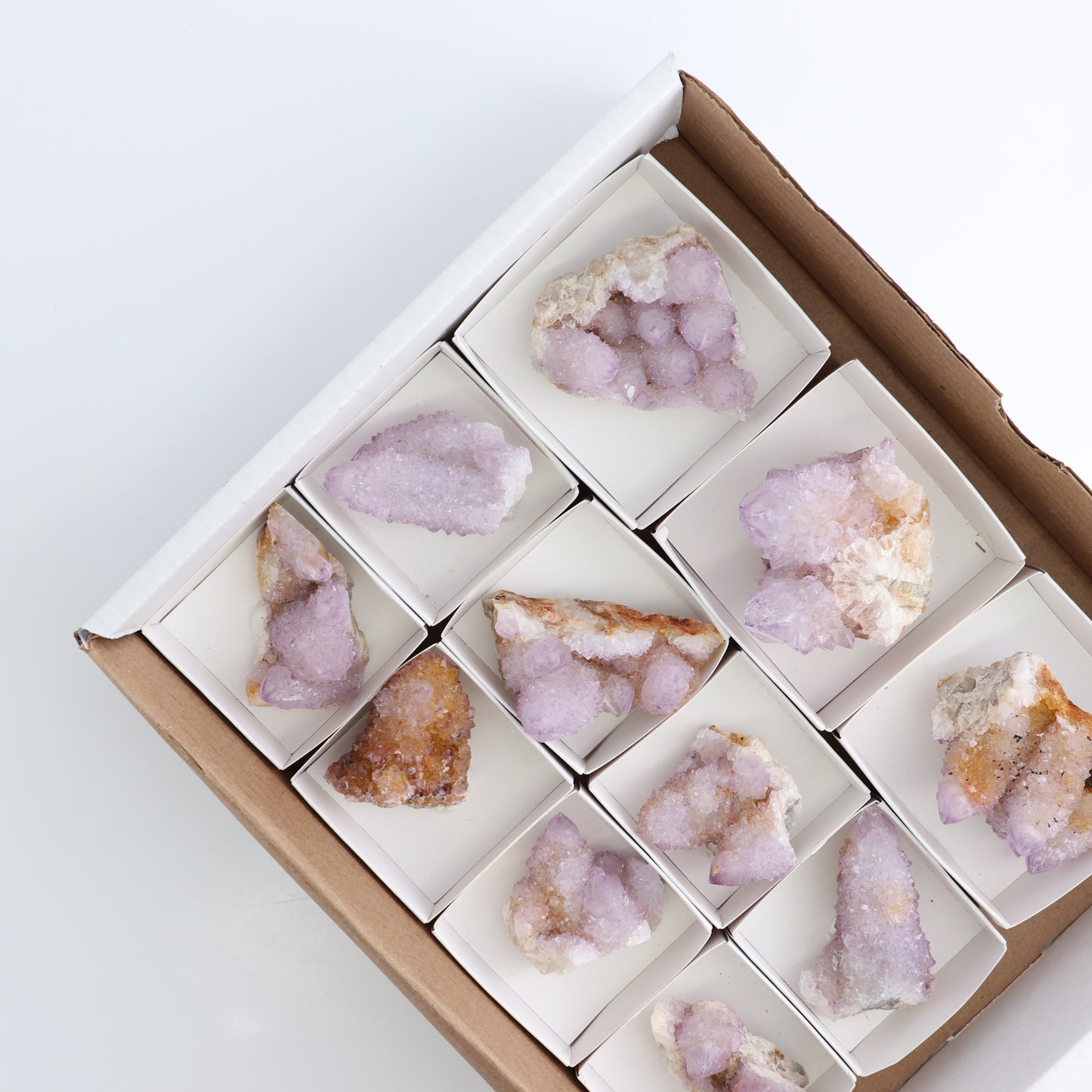 Cactus Quartz Set of 11