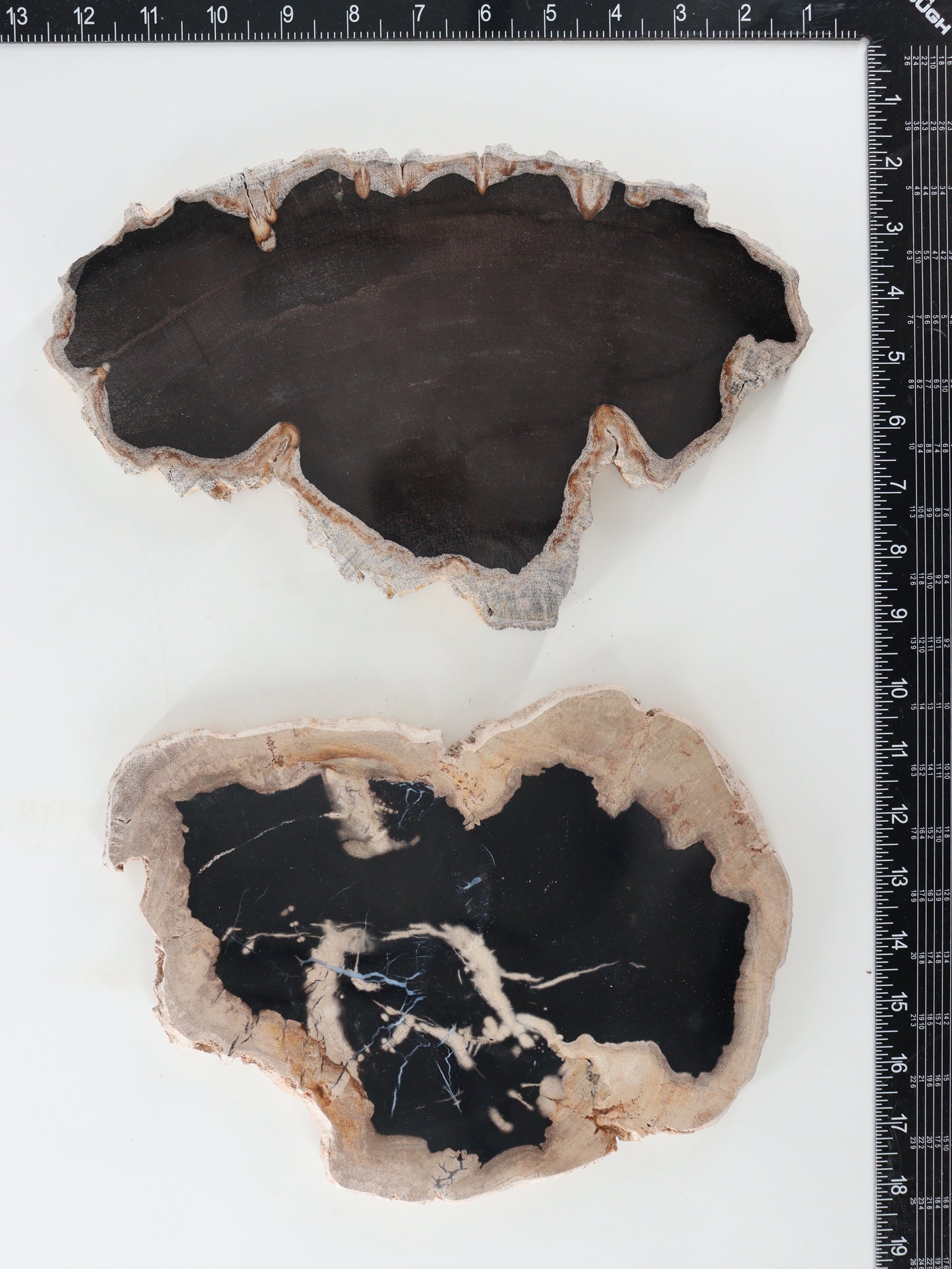 Petrified Wood Slices and Slabs Set of 2 - Expert Wholesale and Supplier of Wholesale Crystals & Bulk Gemstones, []