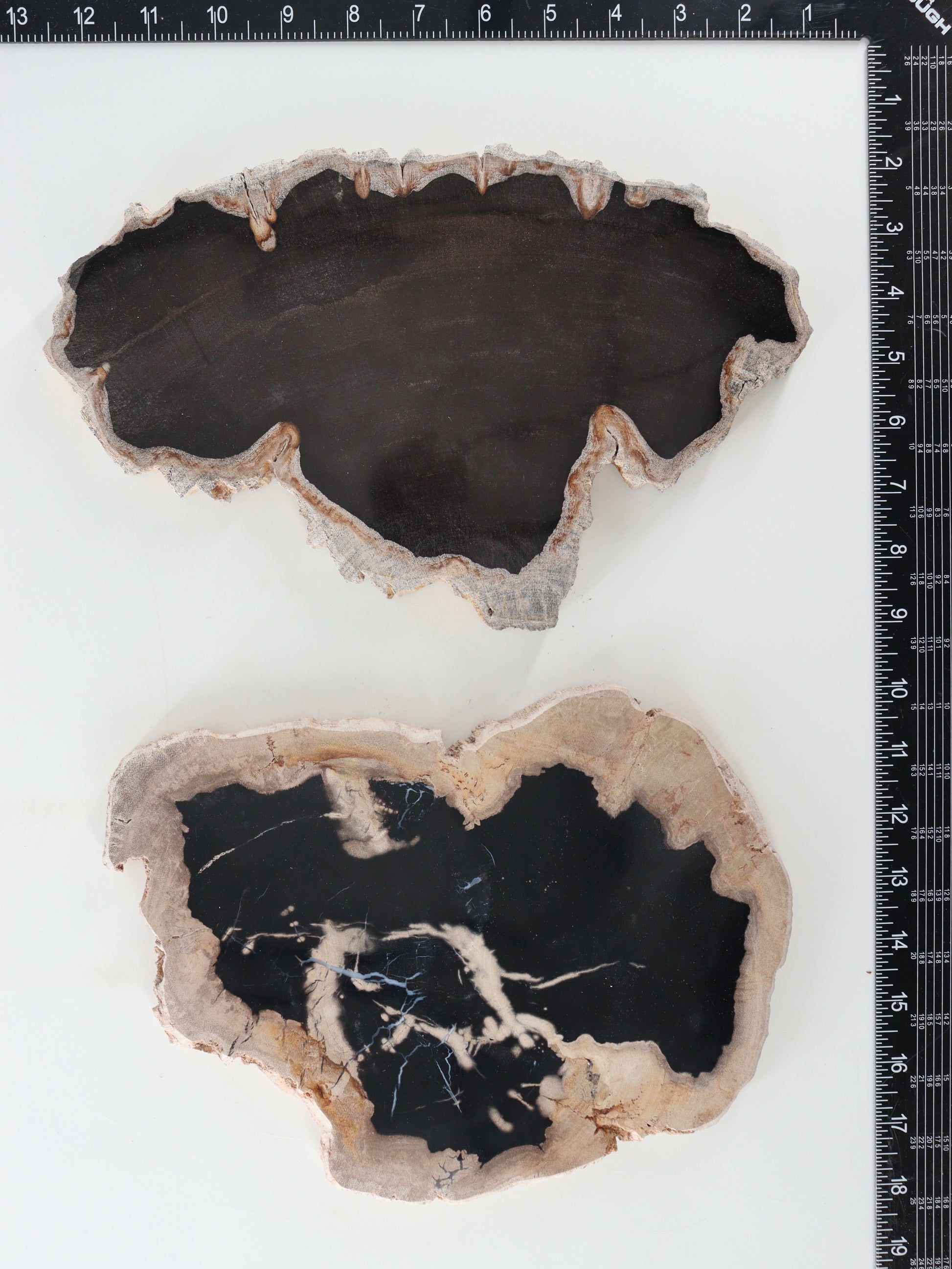 Petrified Wood Slices and Slabs Set of 2 - Expert Wholesale and Supplier of Wholesale Crystals & Bulk Gemstones, []