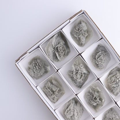 Selenite Clusters Set of 12