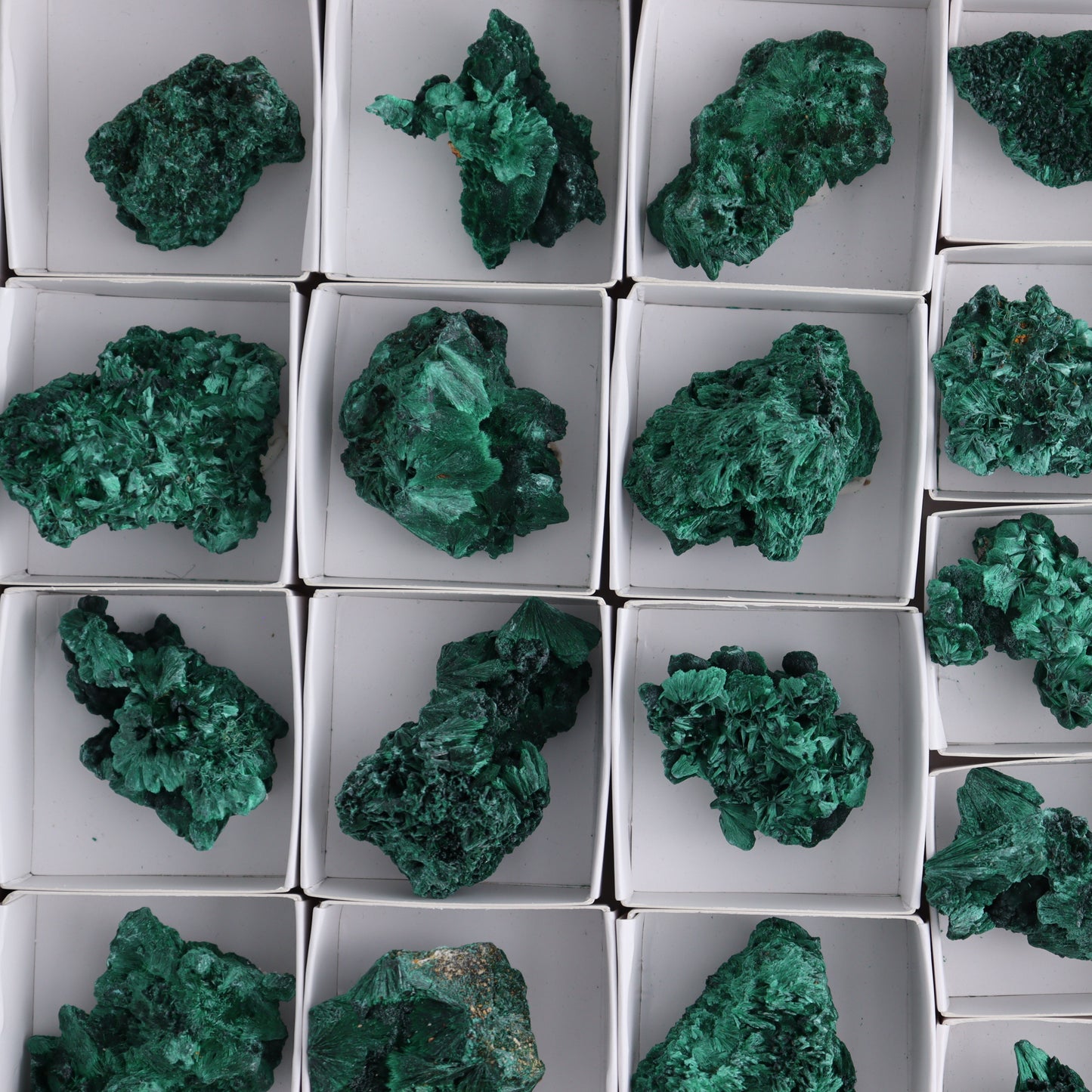 Malachite Flat of 34 - Expert Wholesale and Supplier of Wholesale Crystals & Bulk Gemstones, ["Congo","Flats","Malachite"]