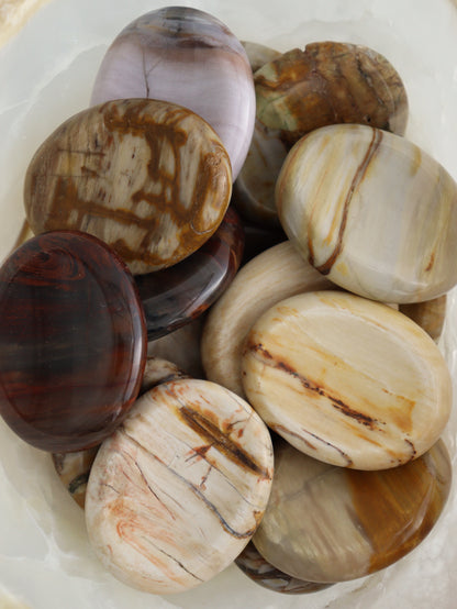 1/2kg Petrified Wood Worry Stones - Expert Supplier of Wholesale Crystals & Bulk Gemstones