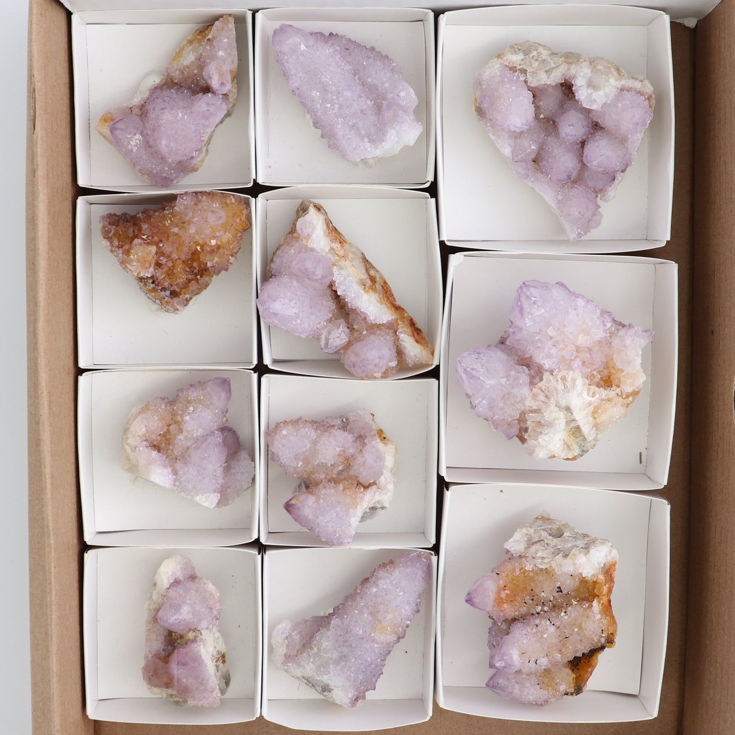 Cactus Quartz Set of 11
