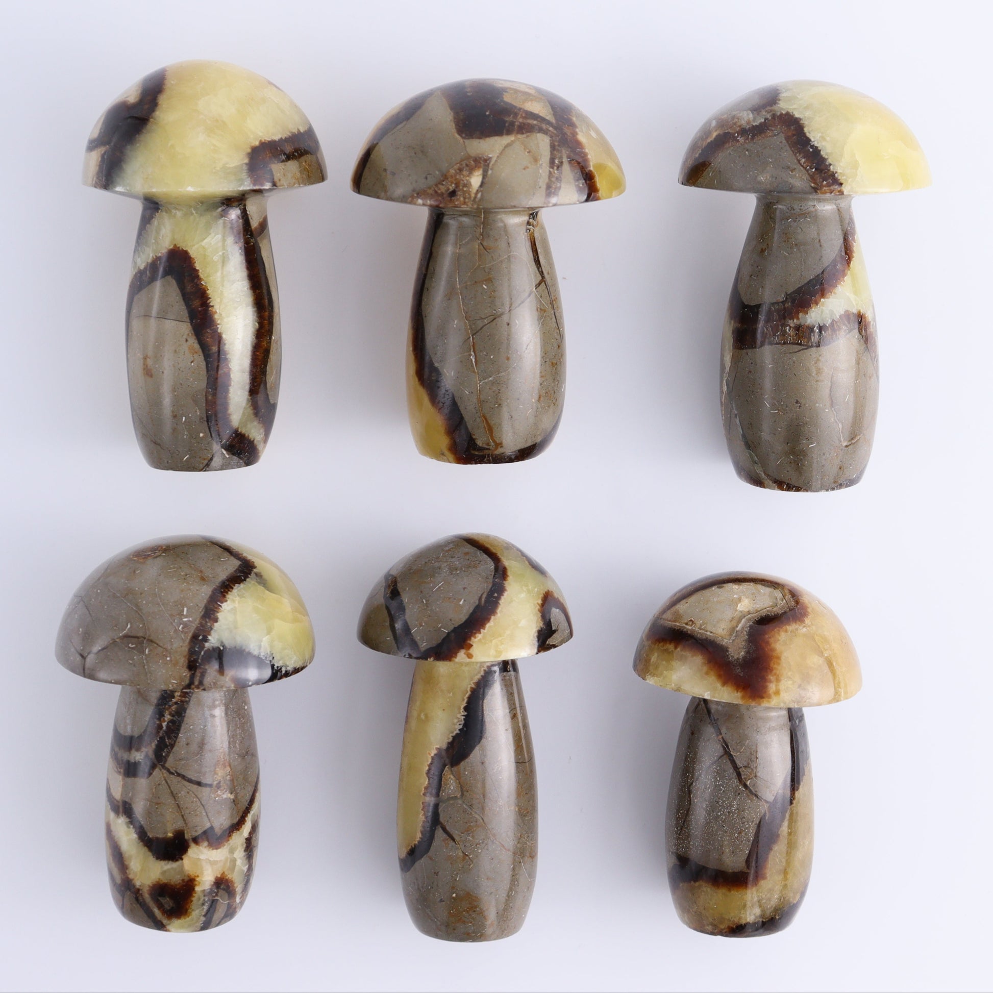 Septarian Mushrooms Set of 6 - Expert Wholesale and Supplier of Wholesale Crystals & Bulk Gemstones, ["Mushrooms","Septarian"]