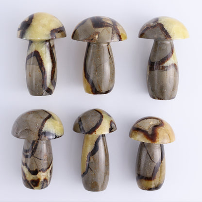 Septarian Mushrooms Set of 6 - Expert Wholesale and Supplier of Wholesale Crystals & Bulk Gemstones, ["Mushrooms","Septarian"]