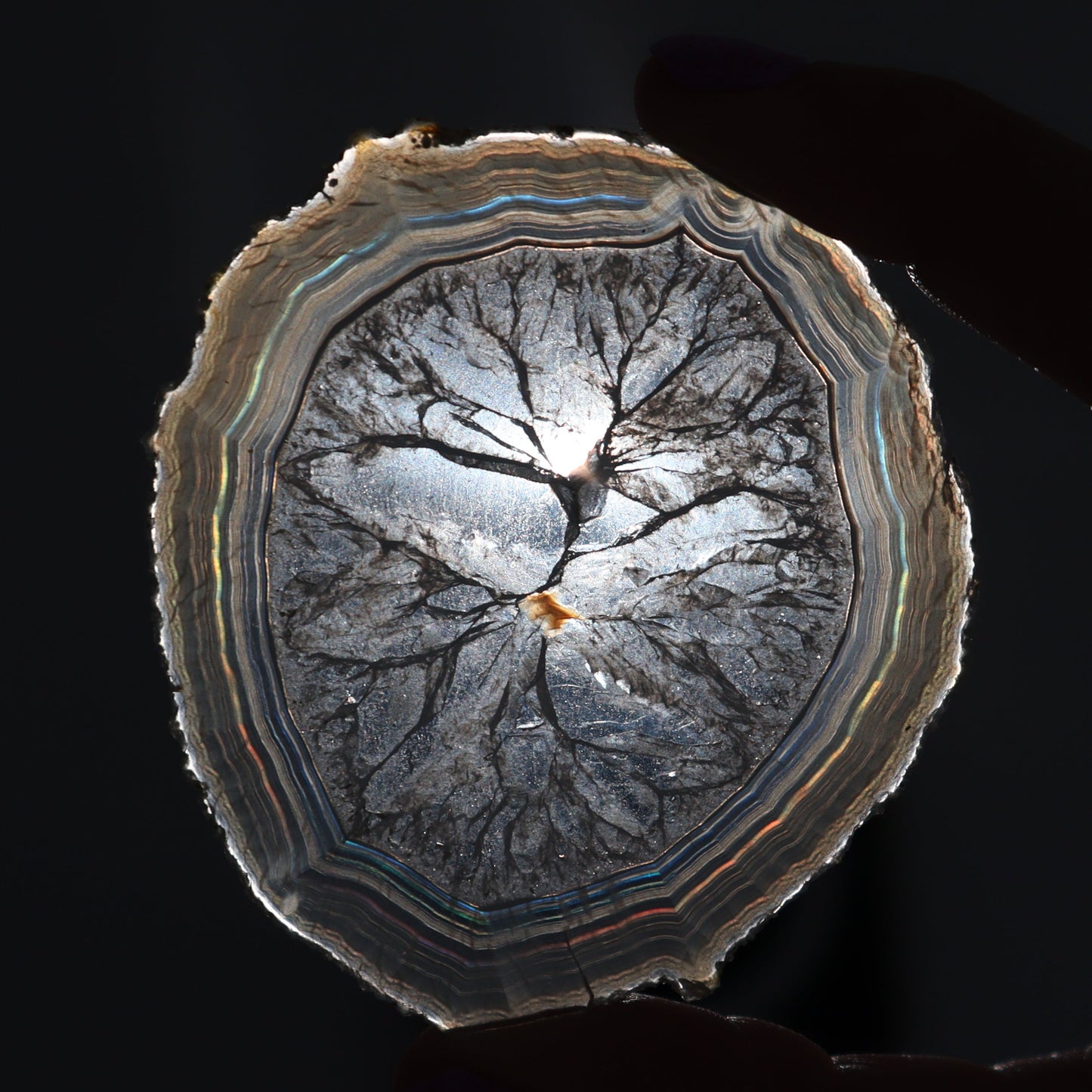 Iris Agate Slices Set of 6 - Expert Wholesale and Supplier of Wholesale Crystals & Bulk Gemstones, ["Agate","close_30","Iris Agate","Slices and Slabs"]