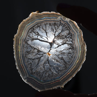 Iris Agate Slices Set of 6 - Expert Wholesale and Supplier of Wholesale Crystals & Bulk Gemstones, ["Agate","close_30","Iris Agate","Slices and Slabs"]