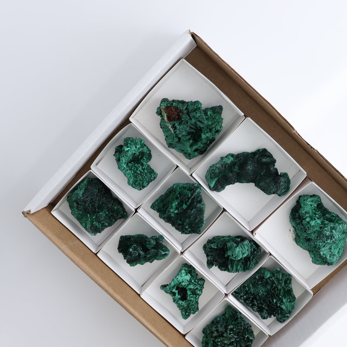 Malachite Freeforms Set of 9 - wholesale crystals