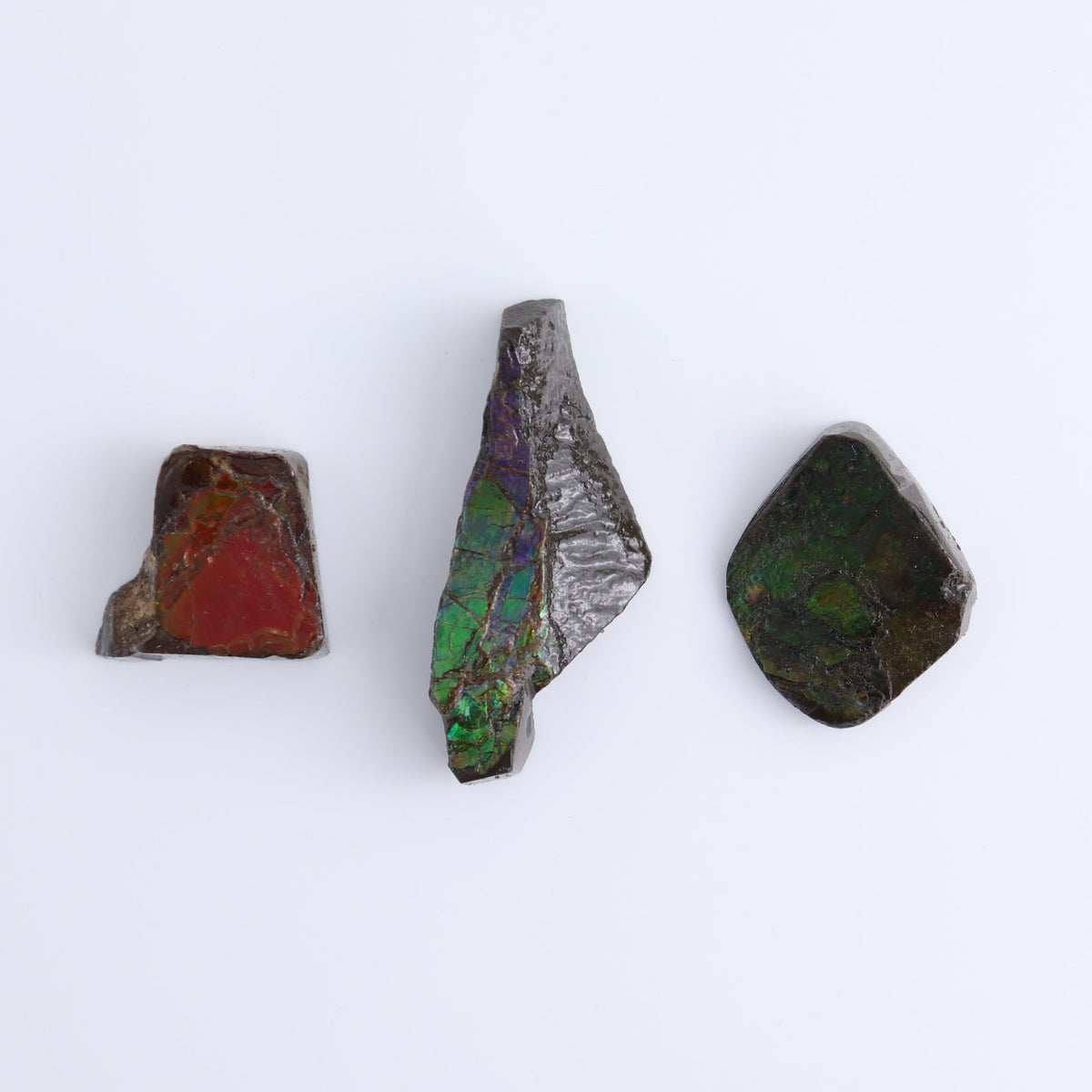 Ammolite Rough Set of 3