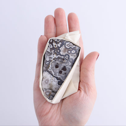 Crazy Lace Agate Flat of 12 - Expert Wholesale and Supplier of Wholesale Crystals & Bulk Gemstones, ["Crazy Lace Agate","Mexico"]