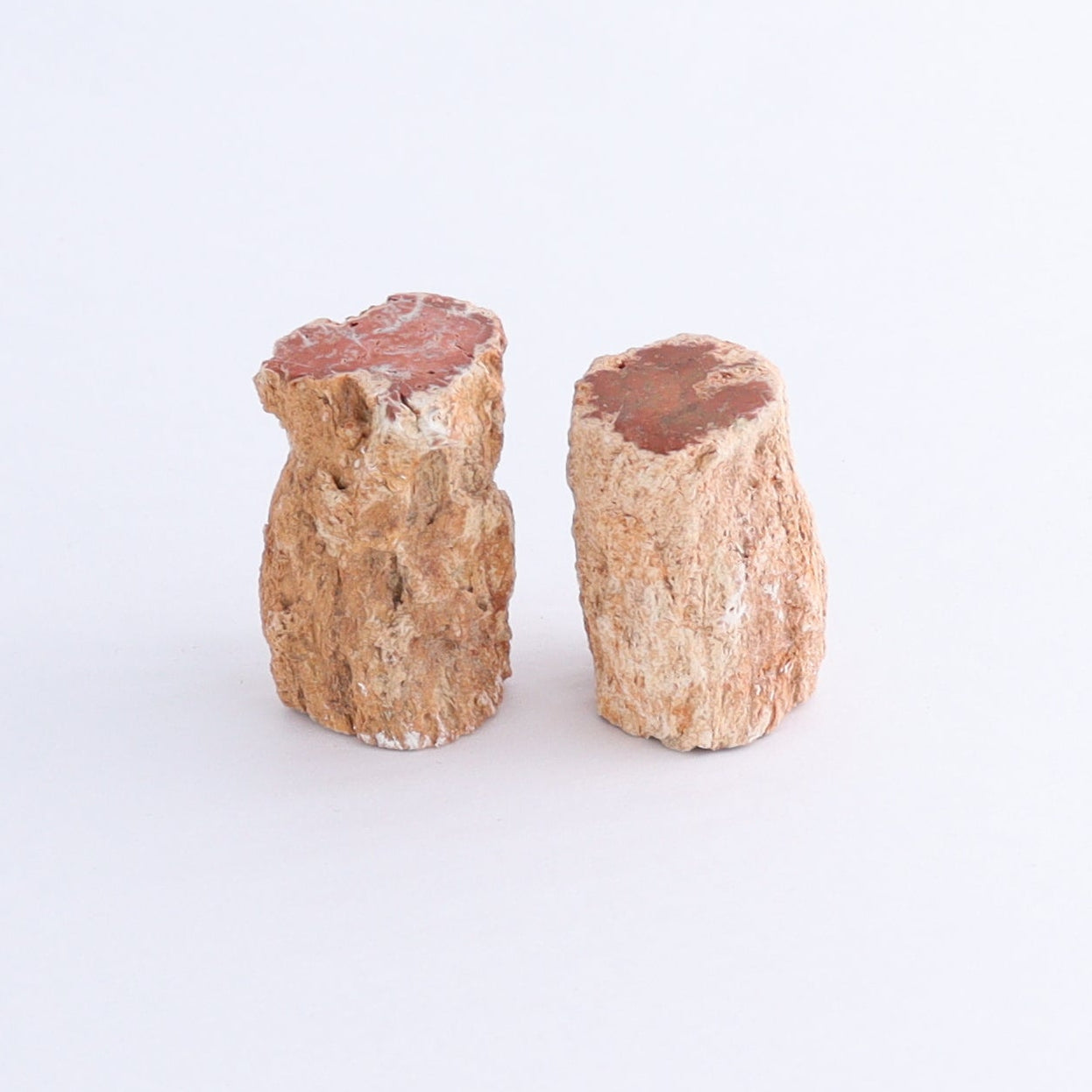 Petrified Wood Cut Bases Set of 10 - Expert Wholesale and Supplier of Wholesale Crystals & Bulk Gemstones, ["Cut Base","Petrified Wood"]