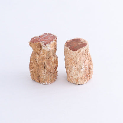 Petrified Wood Cut Bases Set of 10 - Expert Wholesale and Supplier of Wholesale Crystals & Bulk Gemstones, ["Cut Base","Petrified Wood"]