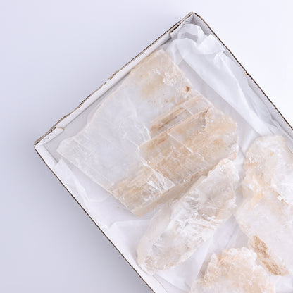 Selenite Slices Set of 4 - Expert Wholesale and Supplier of Wholesale Crystals & Bulk Gemstones, ["selenite","Slices and Slabs"]