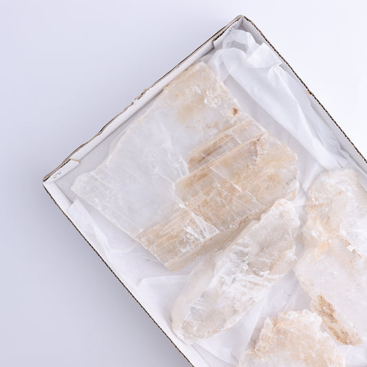 Selenite Slices Set of 4 - Expert Wholesale and Supplier of Wholesale Crystals & Bulk Gemstones, ["selenite","Slices and Slabs"]
