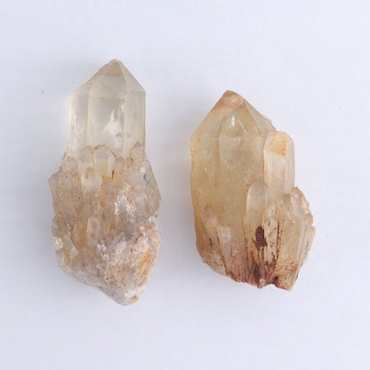 Congo Citrine Set of 12