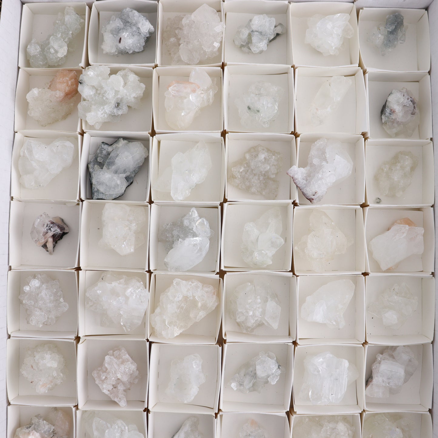 Apophyllite Clusters Flat of 54 - Expert Wholesale and Supplier of Wholesale Crystals & Bulk Gemstones, ["Apophyllite","Clusters","Flats"]