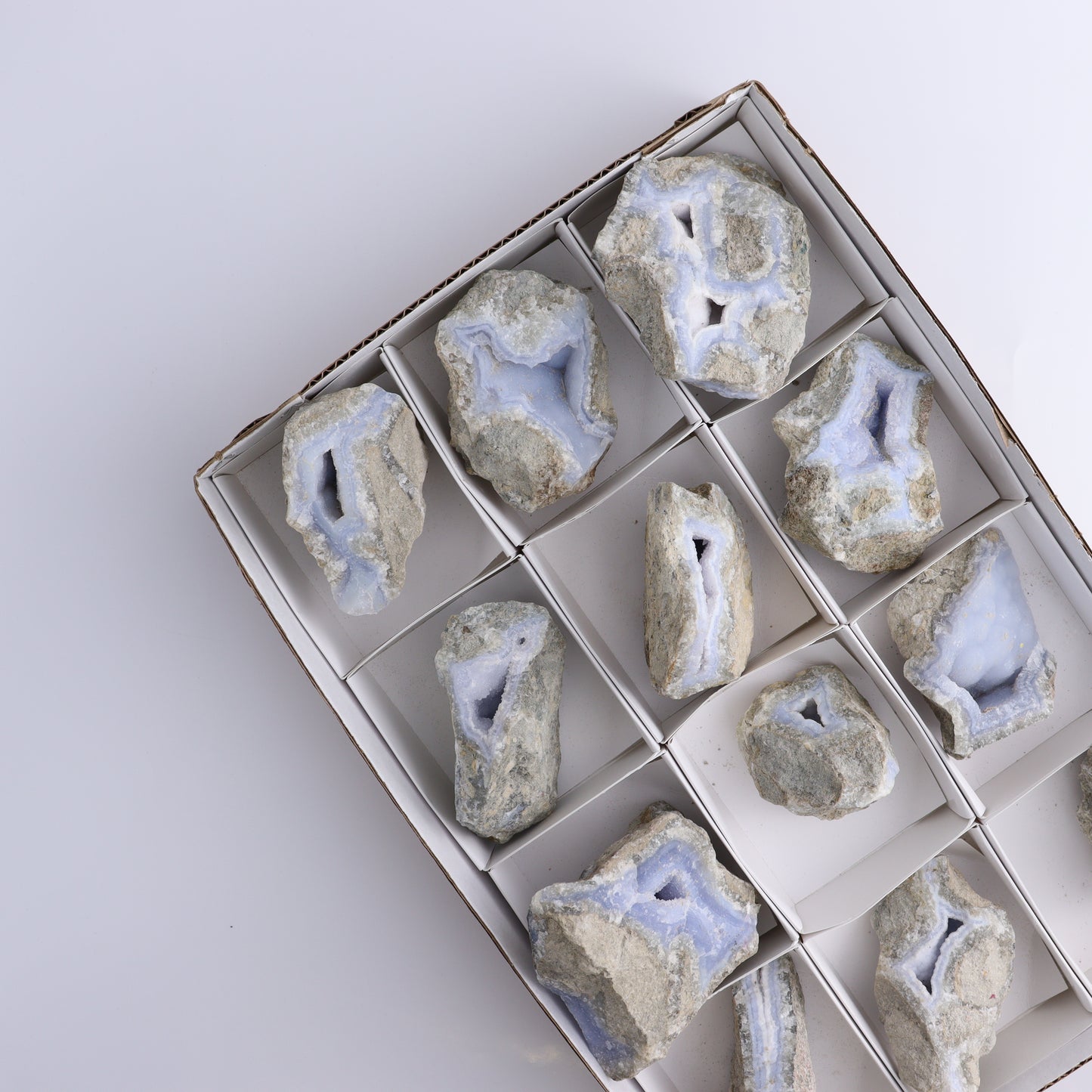 Blue Lace Agate Freeforms Set of 12