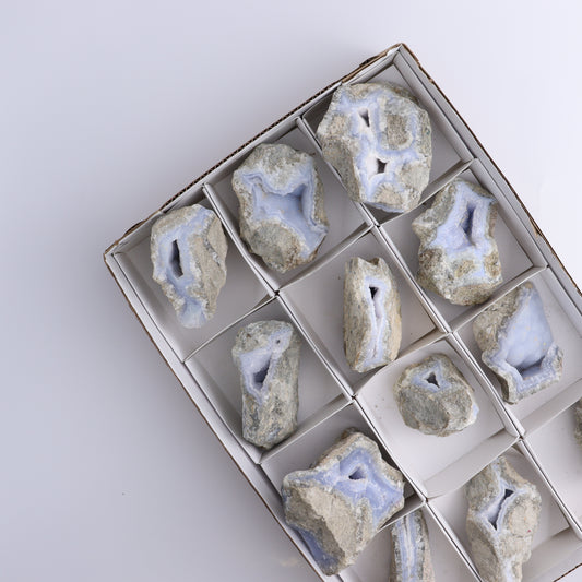 Blue Lace Agate Freeforms Set of 12