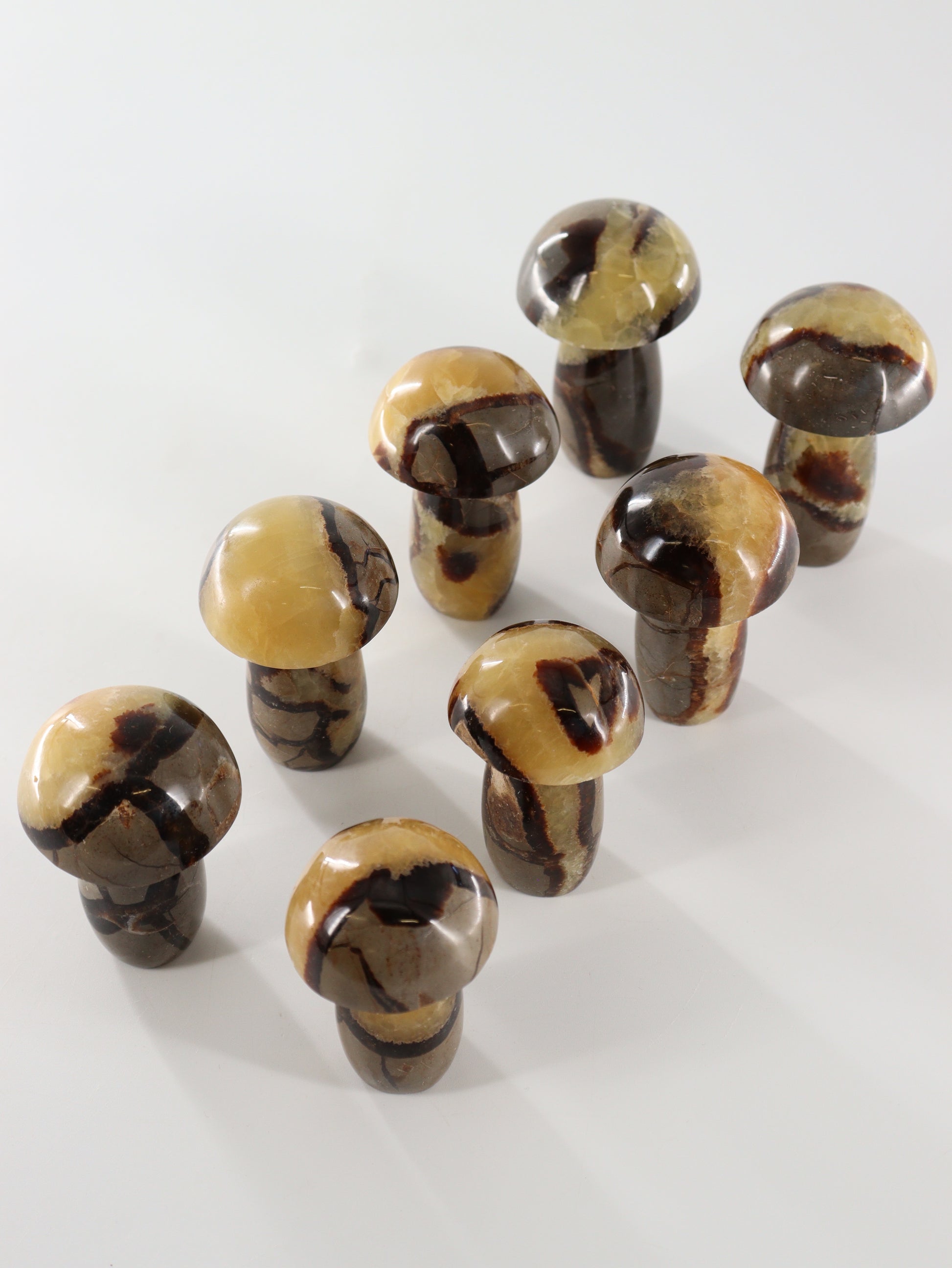 Septarian Mushrooms Set of 8 - Expert Wholesale and Supplier of Wholesale Crystals & Bulk Gemstones, []