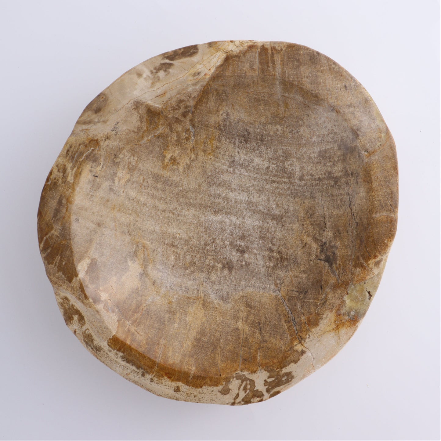 Petrified Wood Bowl - Expert Wholesale and Supplier of Wholesale Crystals & Bulk Gemstones, ["Bowls","Indonesia","Petrified Wood"]