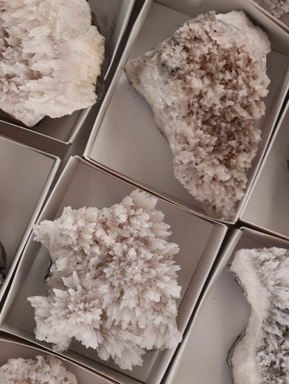 Mangano Calcite Flat Set of 12 - Expert Wholesale and Supplier of Wholesale Crystals & Bulk Gemstones, []