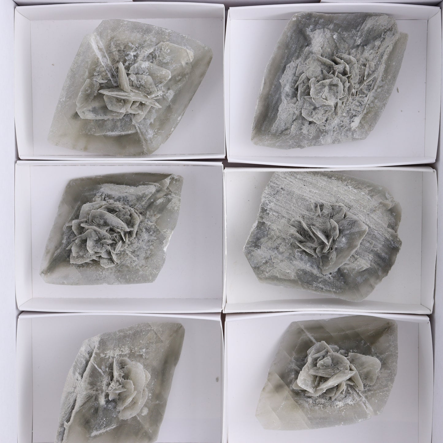 Selenite Clusters Set of 8 - Expert Wholesale and Supplier of Wholesale Crystals & Bulk Gemstones, ["Clusters","selenite"]