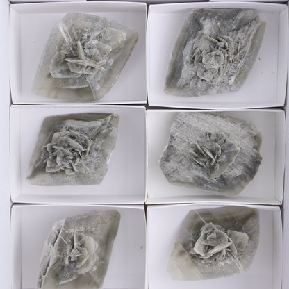 Selenite Clusters Set of 8 - Expert Wholesale and Supplier of Wholesale Crystals & Bulk Gemstones, ["Clusters","selenite"]